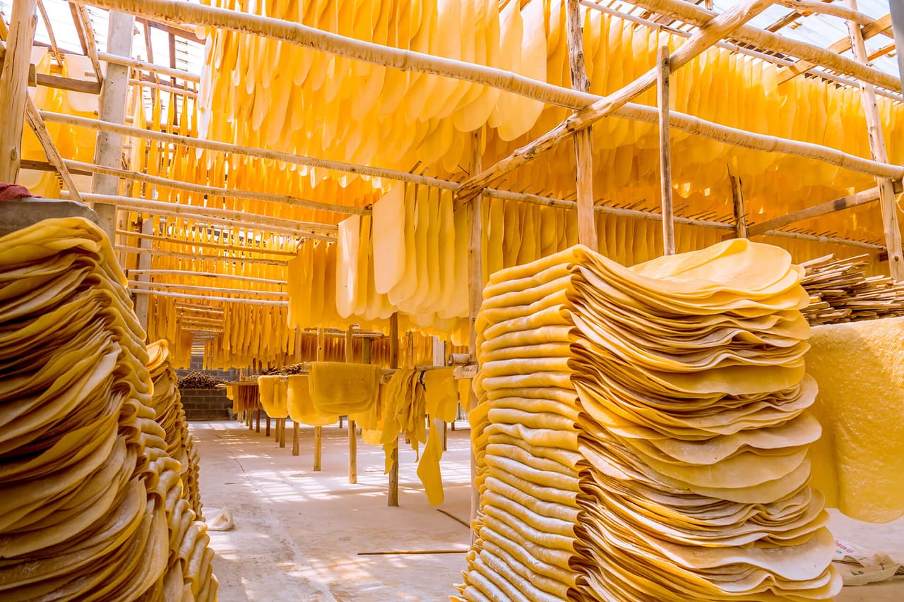 Natural rubber sheet production and drying