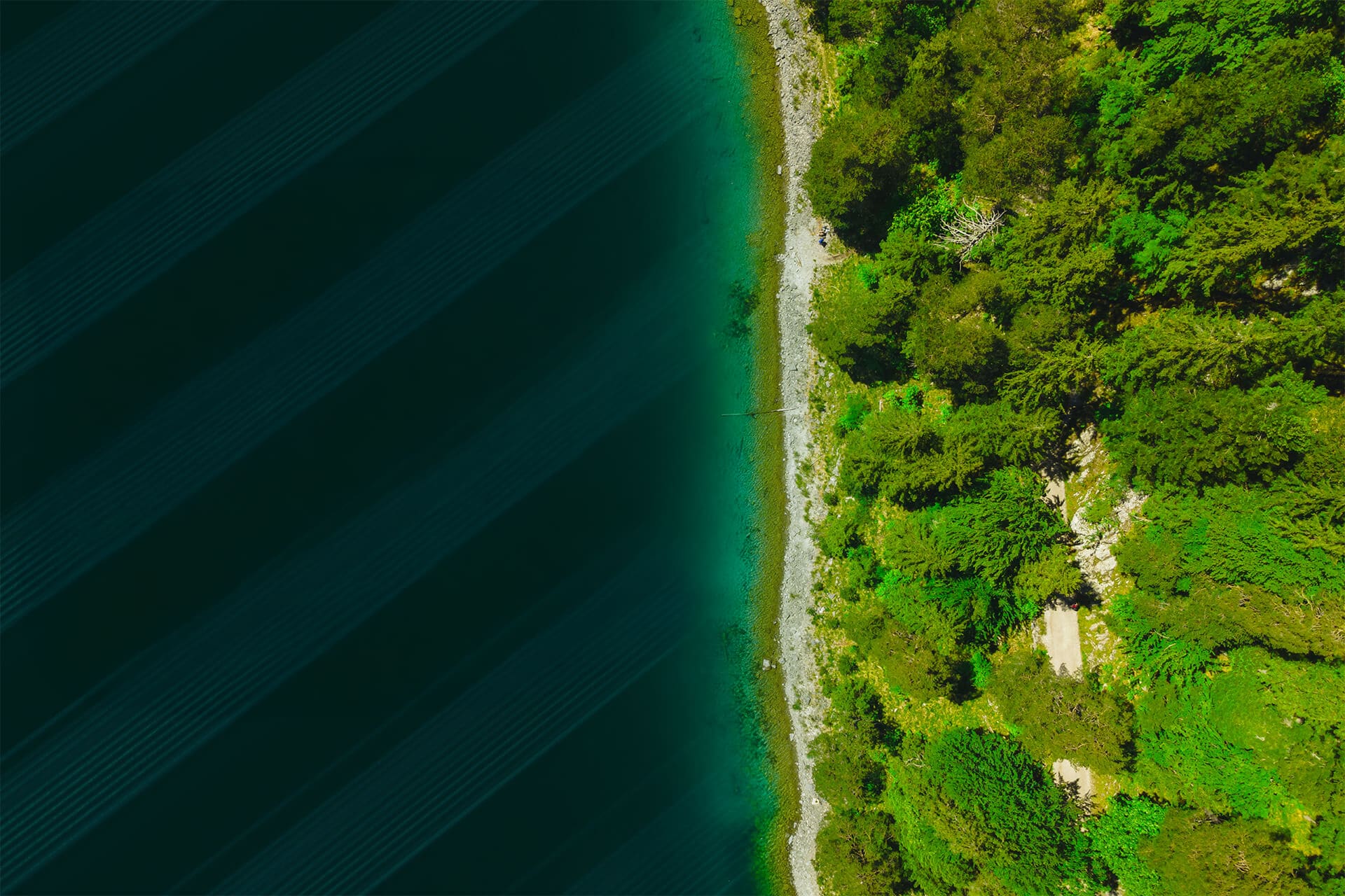 Aerial view of forest and sea - EUDR environmental protection